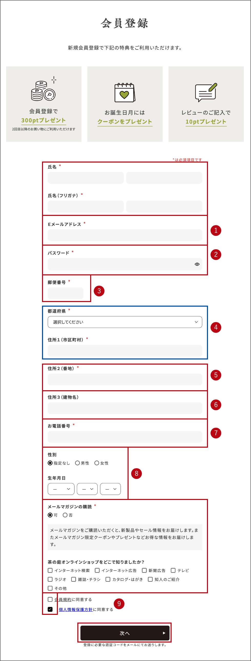 会員登録フォームの入力例1